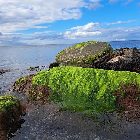 5 Person In Feriehus